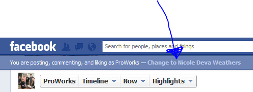 Proworks Commenting