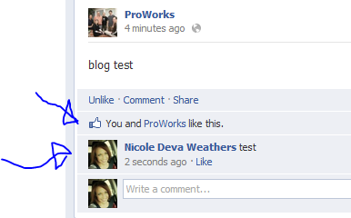 Nicole Commenting